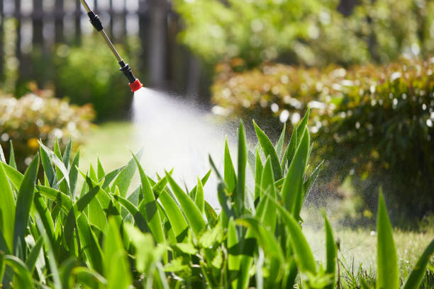 24/7 Emergency Mosquito Control experts in West Siloam Springs, OK