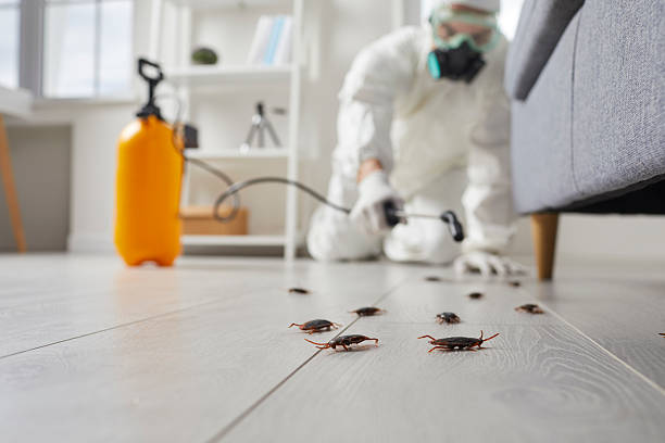 Trusted Rodent Control service in West Siloam Springs, OK - Nex Pest Control