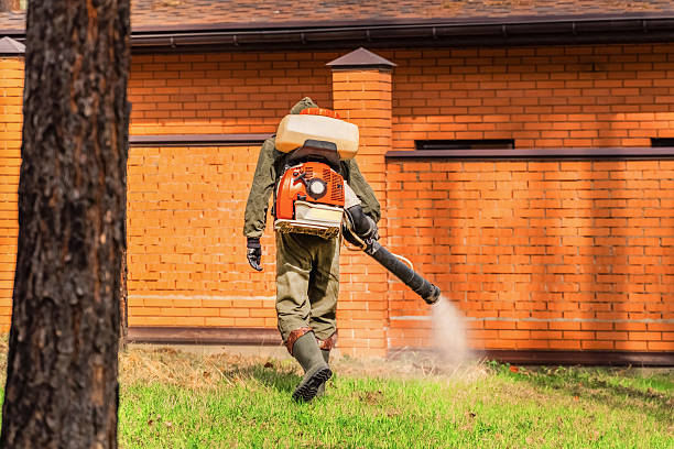 Trusted Mosquito Control service in West Siloam Springs, OK - Nex Pest Control